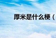厚米是什么梗（厚米是什么梗意思）