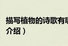 描写植物的诗歌有哪些（关于描写植物的诗歌介绍）