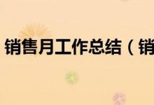 销售月工作总结(销售月工作总结范文示例)