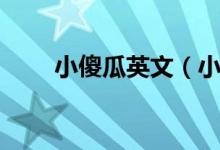 小傻瓜英文（小傻瓜用英语怎么说）
