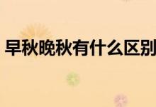 早秋晚秋有什么区别（早秋晚秋区别有哪些）