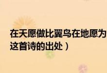 在天愿做比翼鸟在地愿为连理枝一诗写的是哪个爱情故事（这首诗的出处）