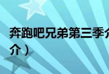 奔跑吧兄弟第三季介绍（奔跑吧兄弟第三季简介）