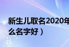 新生儿取名2020年好名字大全（新生儿叫什么名字好）