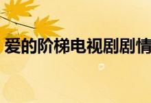 爱的阶梯电视剧剧情（电视剧爱的阶梯简介）