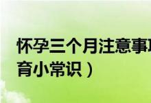 怀孕三个月注意事项（孕妈妈要知道的5个孕育小常识）