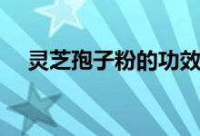 灵芝孢子粉的功效与作用（你了解了吗）