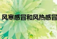 风寒感冒和风热感冒的区别(三个不同症状)