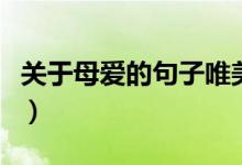 关于母爱的句子唯美（　描写母爱的优美句子）