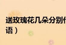 送玫瑰花几朵分别代表什么意思（玫瑰花的花语）