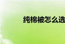 纯棉被怎么选（怎么挑选棉被）