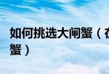 如何挑选大闸蟹（在市场如何挑选优质的大闸蟹）