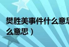 樊胜美事件什么意思（现实版樊胜美事件是什么意思）