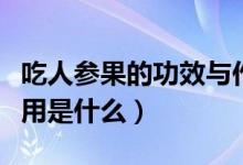 吃人参果的功效与作用（吃人参果的功效与作用是什么）