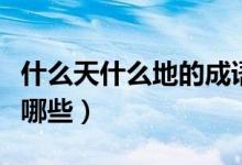 什么天什么地的成语（什么天什么地的成语有哪些）