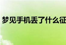 梦见手机丢了什么征兆（梦见手机丢了解释）