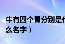 牛有四个胃分别是什么（牛有四个胃分别是什么名字）