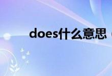 does什么意思（does怎么造句呢）