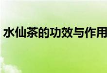 水仙茶的功效与作用（经常喝水仙茶的好处）