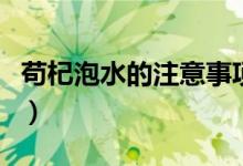 苟杞泡水的注意事项（喝苟杞泡水要注意什么）