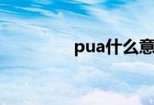 pua什么意思（pua简介）