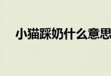 小猫踩奶什么意思（是一种什么行为呢）
