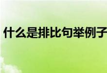 什么是排比句举例子（排比句的说明及例子）
