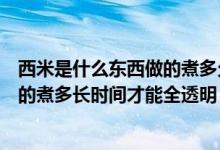 西米是什么东西做的煮多久才能全透明（西米是什么东西做的煮多长时间才能全透明）