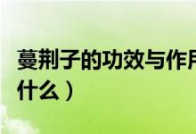 蔓荆子的功效与作用（蔓荆子的功效与作用是什么）