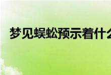 梦见蜈蚣预示着什么（不同梦境解释不同）