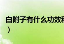 白附子有什么功效和作用（白附子的注意事项）