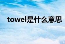 towel是什么意思（英语towel什么意思）