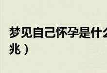 梦见自己怀孕是什么预兆（梦见自己怀孕的预兆）