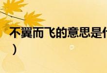 不翼而飞的意思是什么（不翼而飞的意思是啥）