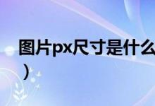 图片px尺寸是什么意思（图片px尺寸的解释）