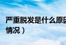 严重脱发是什么原因引起的（千万要避免以下情况）