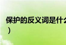 保护的反义词是什么（保护的反义词简单介绍）