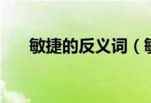 敏捷的反义词（敏捷意思相反的词语）