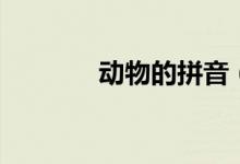 动物的拼音（动物怎么造句）