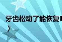 牙齿松动了能恢复吗（牙齿松动能自己恢复吗）