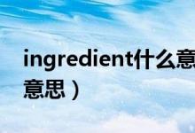 ingredient什么意思（英语ingredient什么意思）