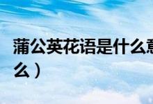 蒲公英花语是什么意思（蒲公英花语意思是什么）