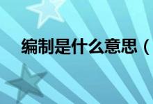 编制是什么意思（狭义的编制又是什么）