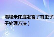 塌塌米床底发霉了有虫子怎么处理（塌塌米床底发霉了有虫子处理方法）