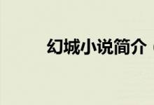 幻城小说简介（幻城小说讲什么）