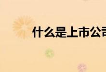 什么是上市公司（上市公司简介）