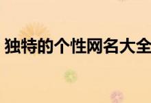 独特的个性网名大全(独特的个性网名精选)