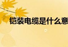 铠装电缆是什么意思（铠装电缆的解释）
