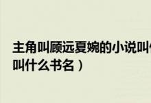 主角叫顾远夏婉的小说叫什么名字（主角叫顾远夏婉的小说叫什么书名）