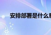 安排部署是什么意思（安排部署解释）